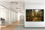 Rövershagen im Wald