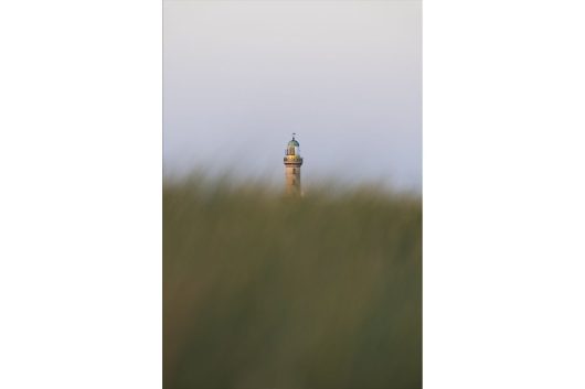 Leuchtturm_im_Dünengras