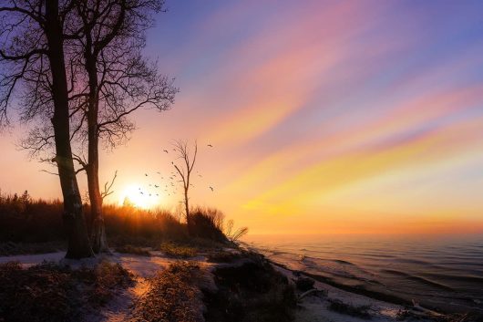 Rostocker Heide Ostsee