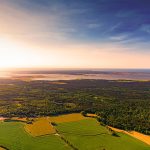 Barther Wald