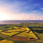 Blick auf den Saaler Bodden