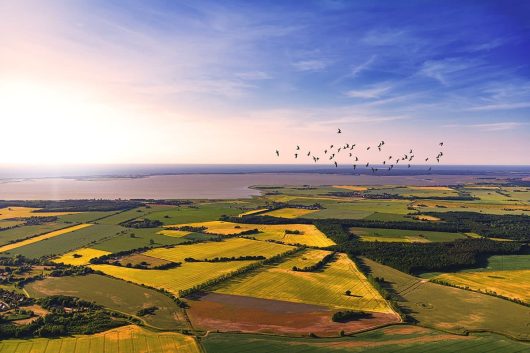 Blick auf den Saaler Bodden