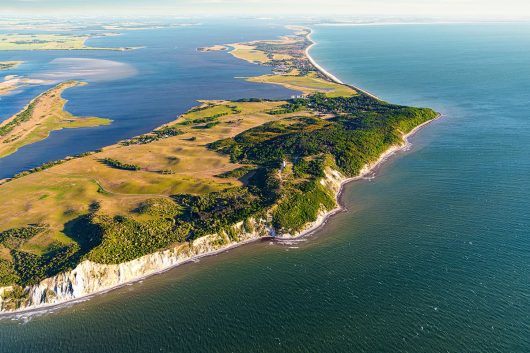 Hiddensee Dornbusch