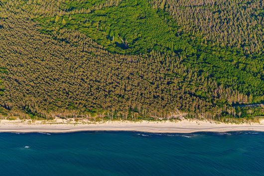 Müllerweg am Weststrand