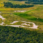 Markgrafenheide Moorgebiet