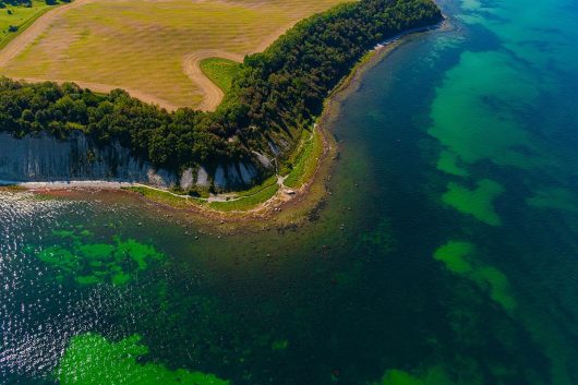 Siebenschneiderstein Kap Arkona