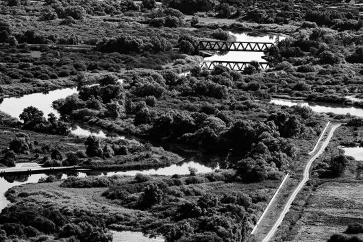 Eisenbahnbrücke Peene bei Demmin