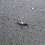 Segelschiff Avatar auf der Warnow