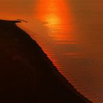 goldene Stunde Ahrenshoop