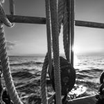 zwischen Reling und Ostsee