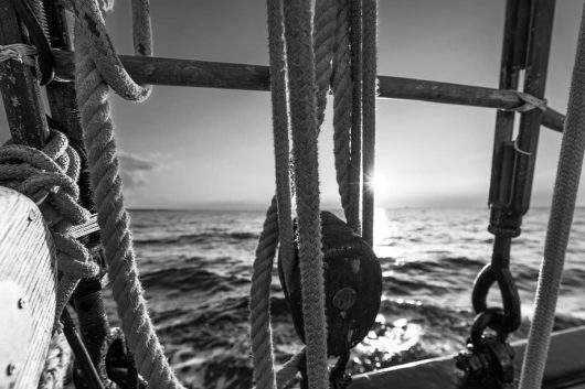 zwischen Reling und Ostsee