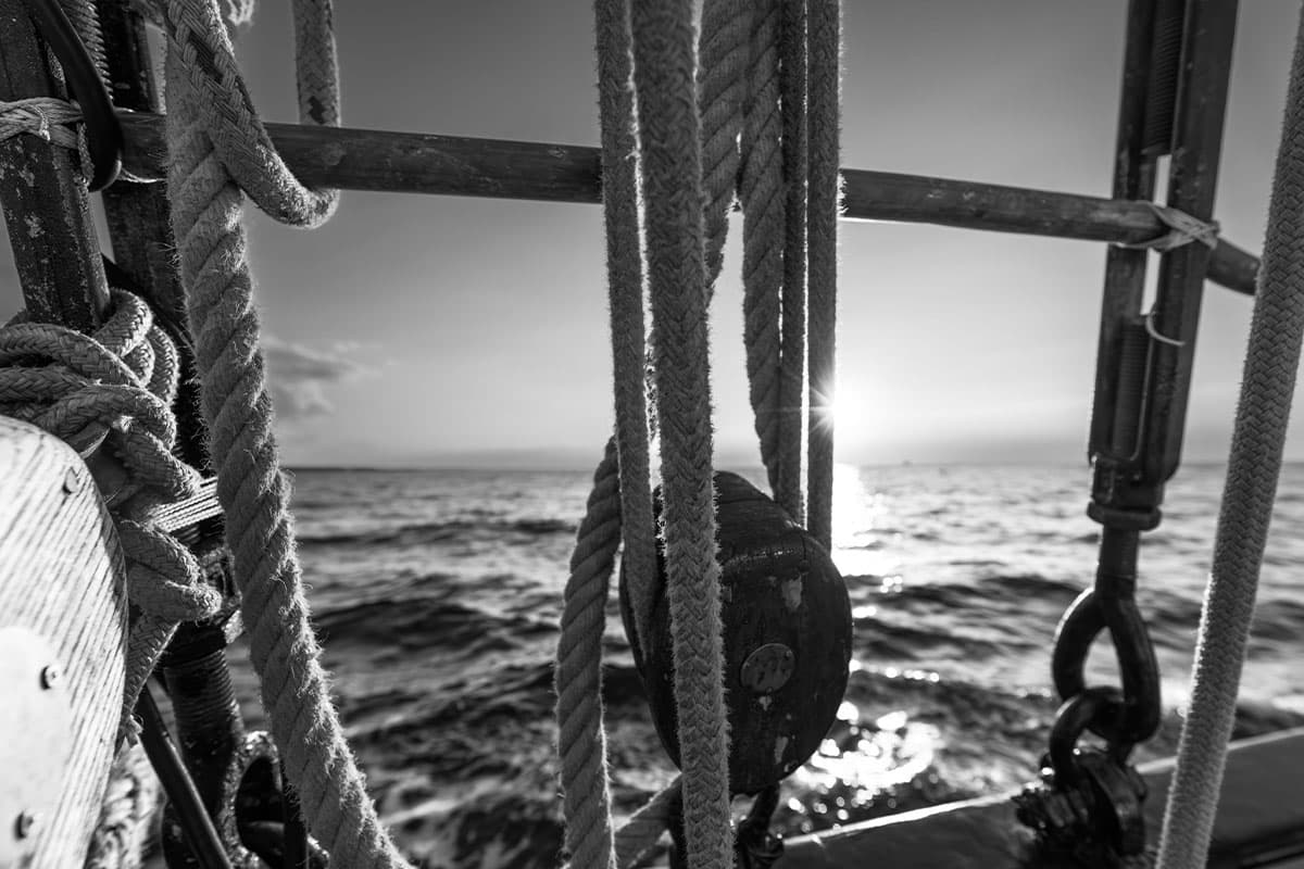 001-zwischen_reling_und_ostsee-PB15-909315 zwischen Reling und Ostsee